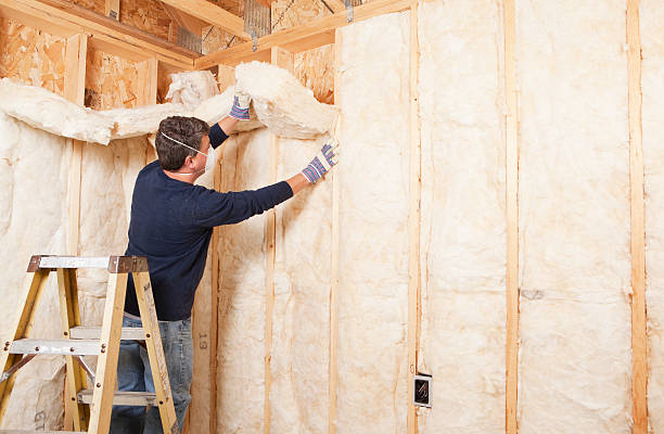 Best Blown-In Insulation  in USA